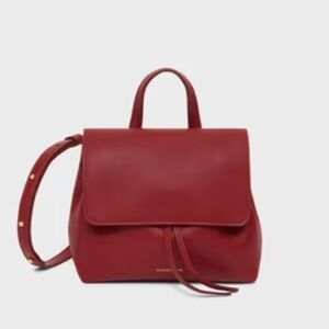 Mansur Gavriel Mini Soft Lady Bag in Cherry
